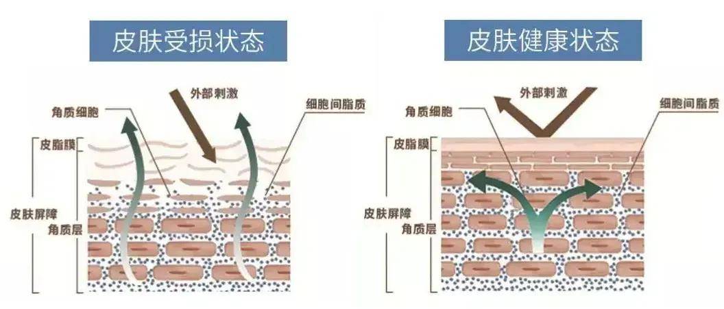 温和补水洗面奶推荐：清洁补水修复敏感肌，为肌肤注入活力能量!