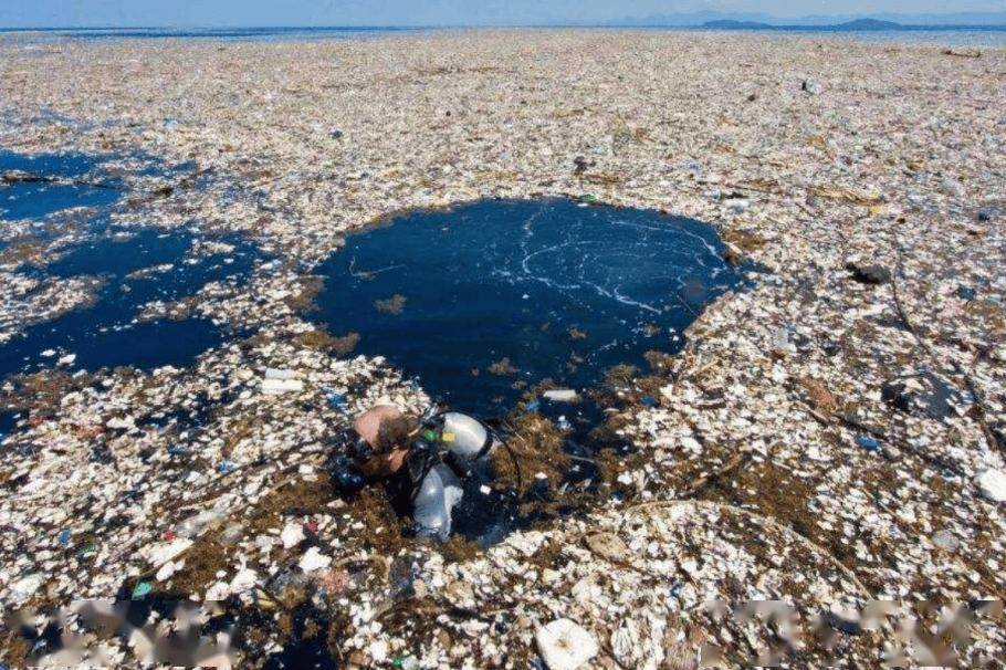 多因素致冷库苹果价格异动 去库速度成后市关键